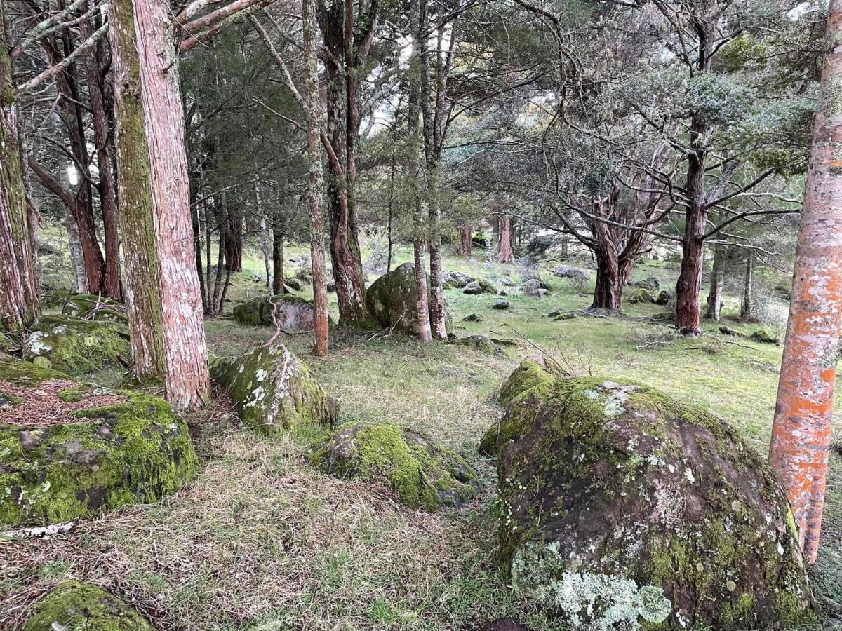 St Karas Cottage - St Enoch And St Elijah Monastery Kaikohe Dış mekan fotoğraf
